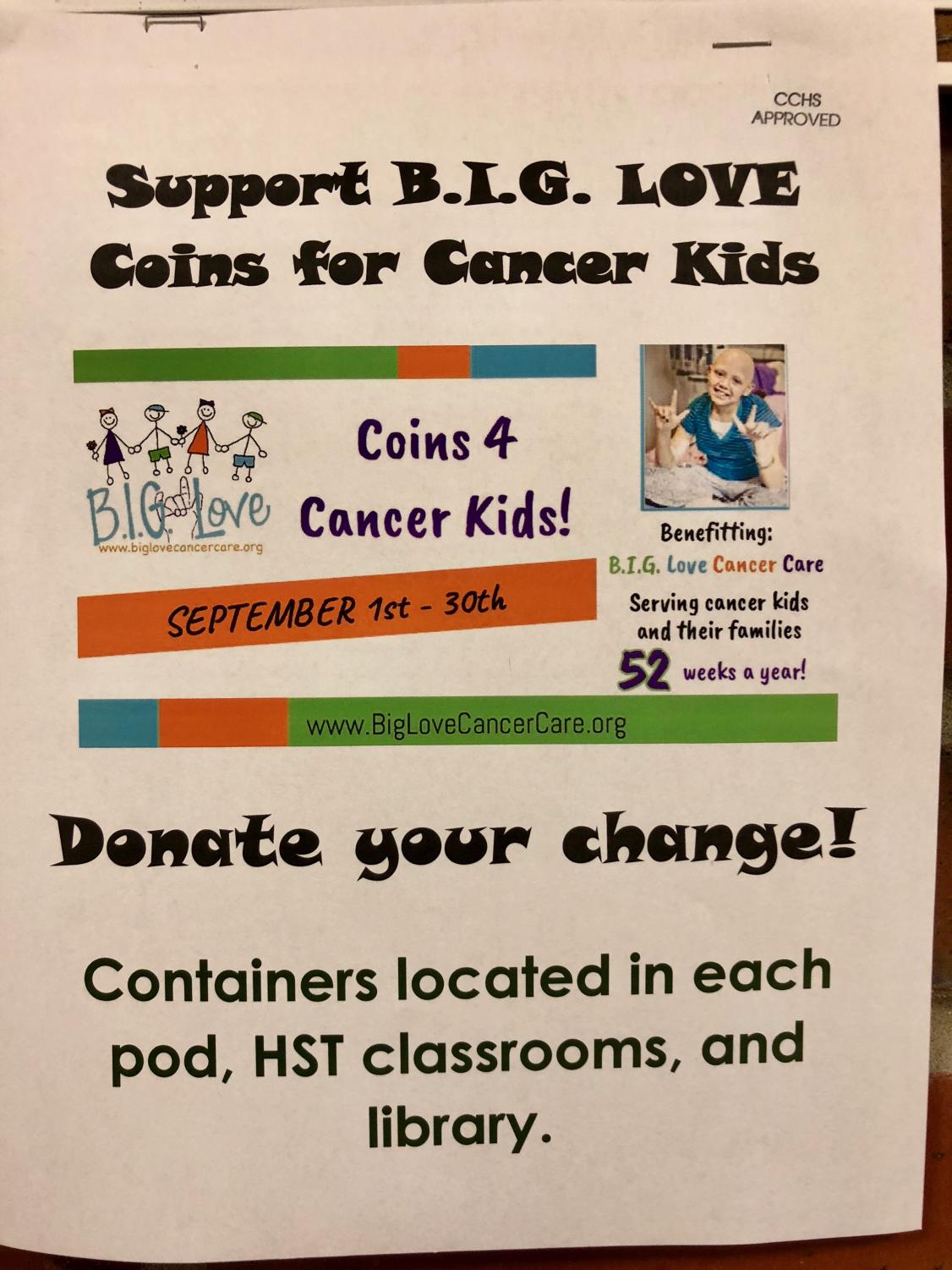 Support BIG LOVE Coins for Cancer Kids