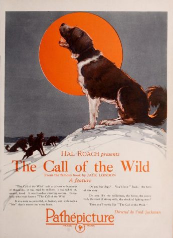 Advertisement for The Call of the Wild film adaptation by Fred Jackman.