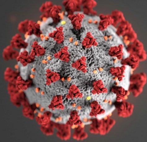 The coronavirus, currently spreading through Texas as well as around the world
